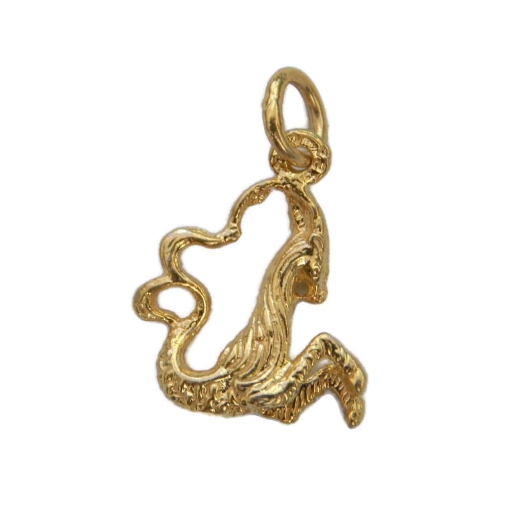 14k Yellow Gold Capricorn Horoscope Zodiac Sign 14k Yellow Gold Capricorn Horoscope Zodiac Sign